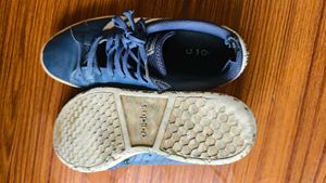 Adidas Shoes