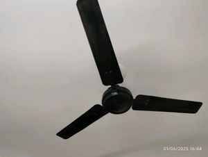 Ceiling Fan