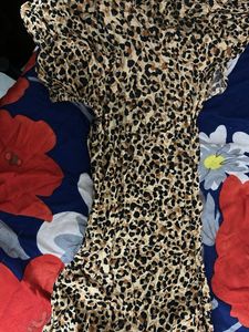 Animal Print Dress