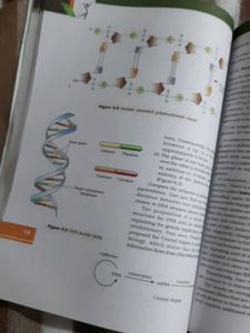 2nd Puc Ncert Biology Textbook