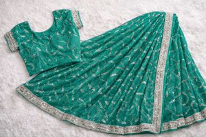 Green Embroidered net Saree & Blouse