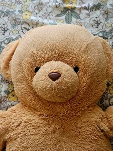 Soft Toy Teady Bear