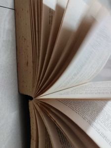Grey By E L James