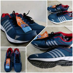 Asian Brand New Shoes With Tag