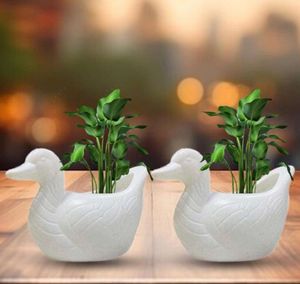 Duck-Shaped Flower Pot