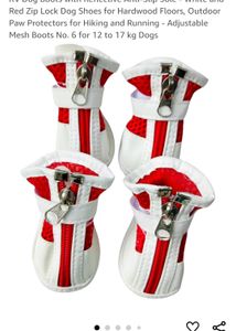 Dog Shoes
