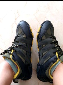 Training Shoes