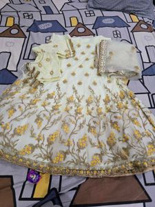 net lehanga with embroidery