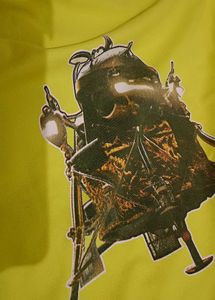 Fun Graphic Print T-Shirt