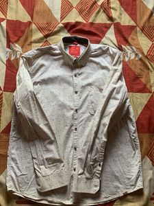 Men's Royal Class Button-Down Shirt