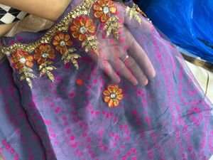 Embroidered Floral Saree - Stunning Design!