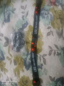 Head LAMP