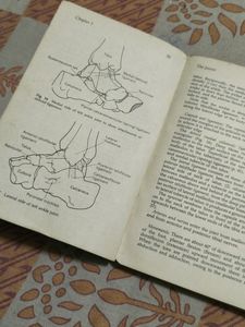 Aids To Anatomy