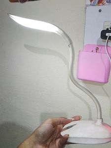 Electric Study Lamp
