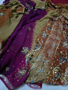 Vintage Lehenga style Saree