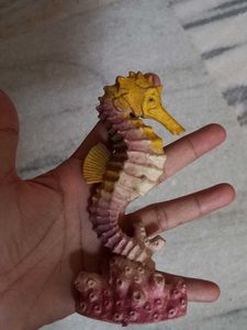 Sea Animals Imported High Quality Big Size