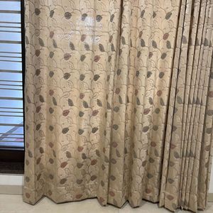 Curtain