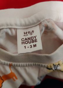 Cute Wild Roar Outfit