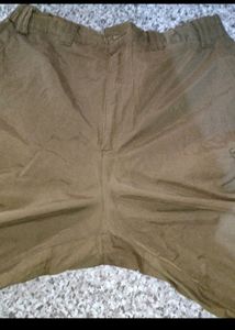 Cargo Pant Trendy