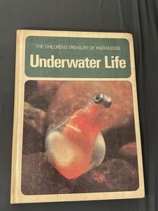 Children&#39;s Knowledge Books