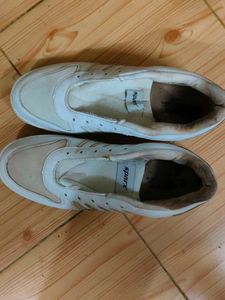 Sparx White Sneakers