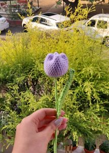 Crochet Tulip