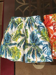 Kids Set Of Two Shorts