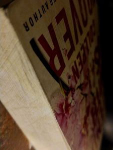 It Ends With Us - Colleen Hoover Novel