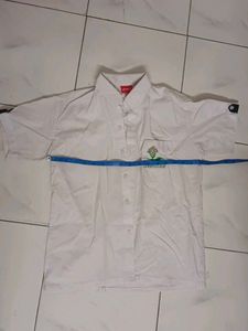 Greendale School Uniform Shirt