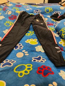 Brand New Joggers For Both Men And Women
