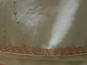 Mint Green Sari with Embellishments
