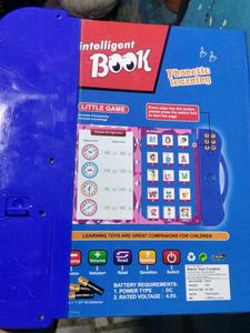 intelligence Fun E book With audio