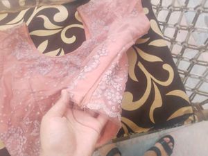 Baby Pink Colour Net Choli (Original Piece)