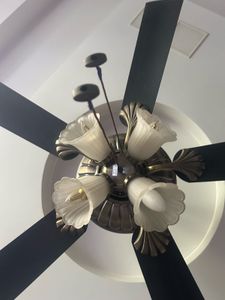Used Decorative Ceiling Fan
