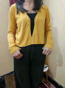 Yellow full sleeved Cardigan