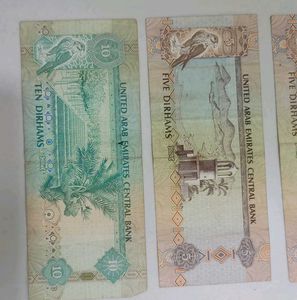 Dubai Curruncy Notes