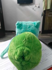 Pokemon Edition Soft Toy