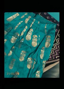 Elegant Gold Embroidered Salwar Kameez