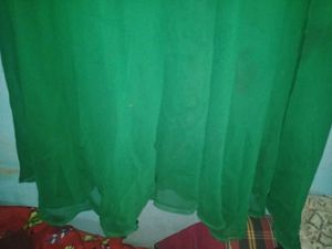 Elegant Green Ethnic Gown