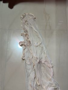 Elegant Net Dupatta with Embellishments