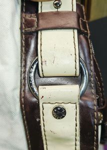The Must Have Purse.