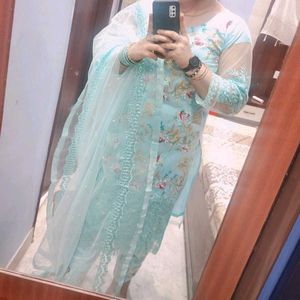 A Very Graceful Sky Blue Colour Pakistai Suit