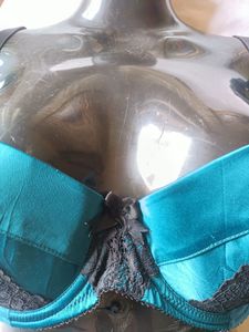 Secret Possessions Brand Wired Bra