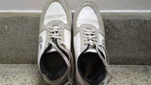 Casual White Sneakers