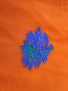 Orange Embroidered Saree