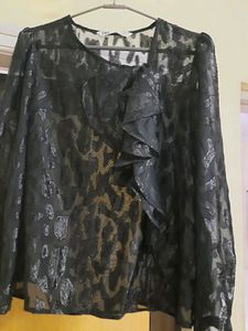 Zara shimmer top