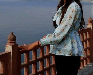 Woman  Georgette Top