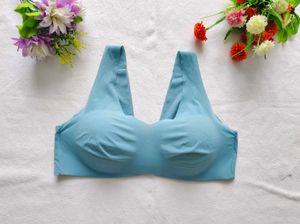 Hanesh : Bralette