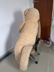 Giant Teddy