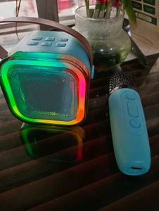 Wireless Karaoke Speaker